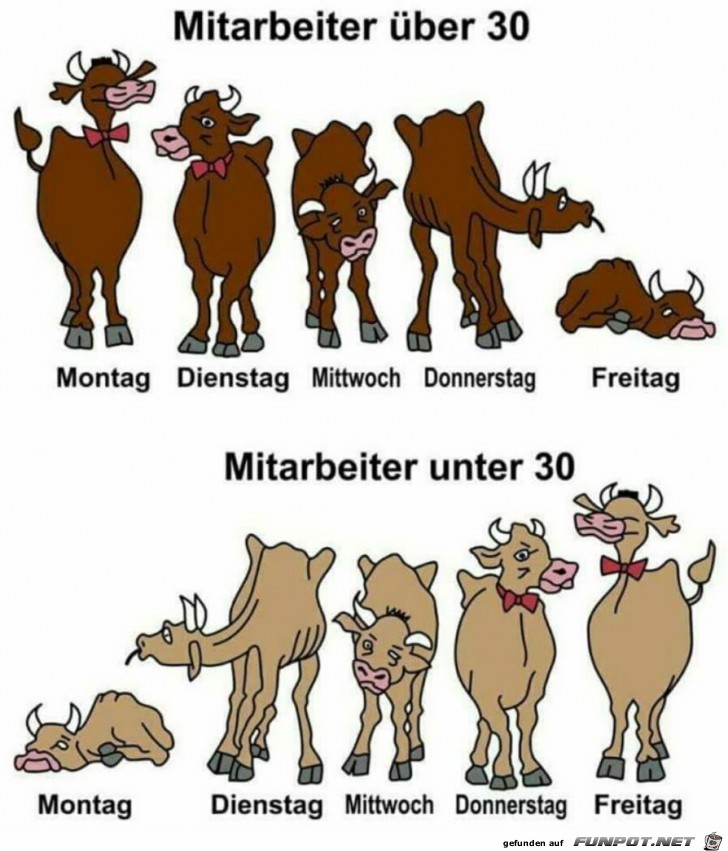 Mitarbeiter Mitarbeiter
