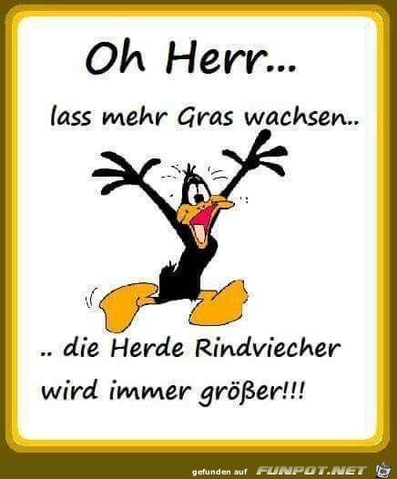 o Herr lass mehr gras wachsen o Herr lass mehr gras wachsen