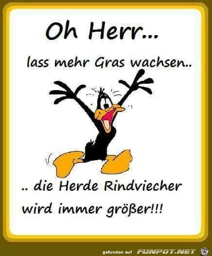 o Herr lass mehr gras wachsen