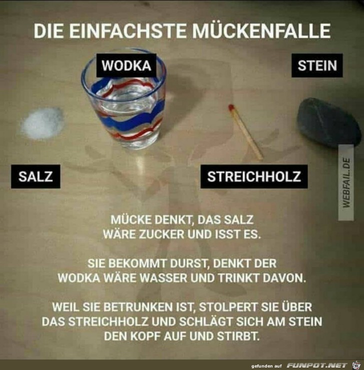 Mückenfalle Mückenfalle