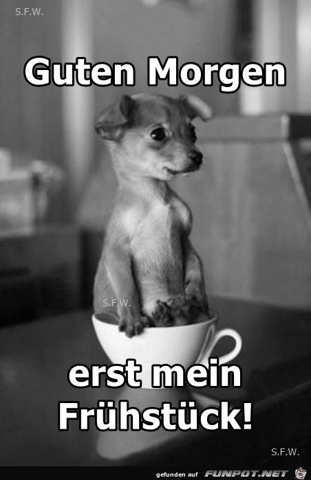 Guten Morgen4