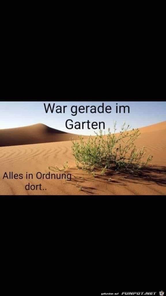 Im Garten alles klar