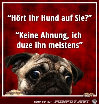 keine Ahnung keine Ahnung
