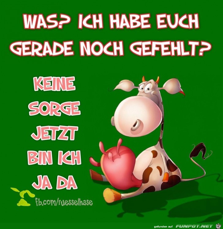 Hab euch gerade noch gefehlt Hab euch gerade noch gefehlt