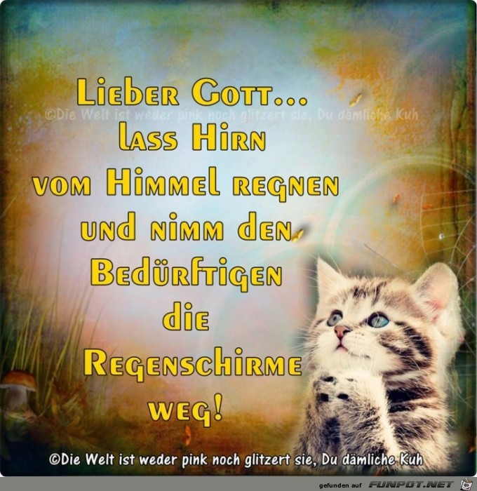 Lieber Gott Lieber Gott