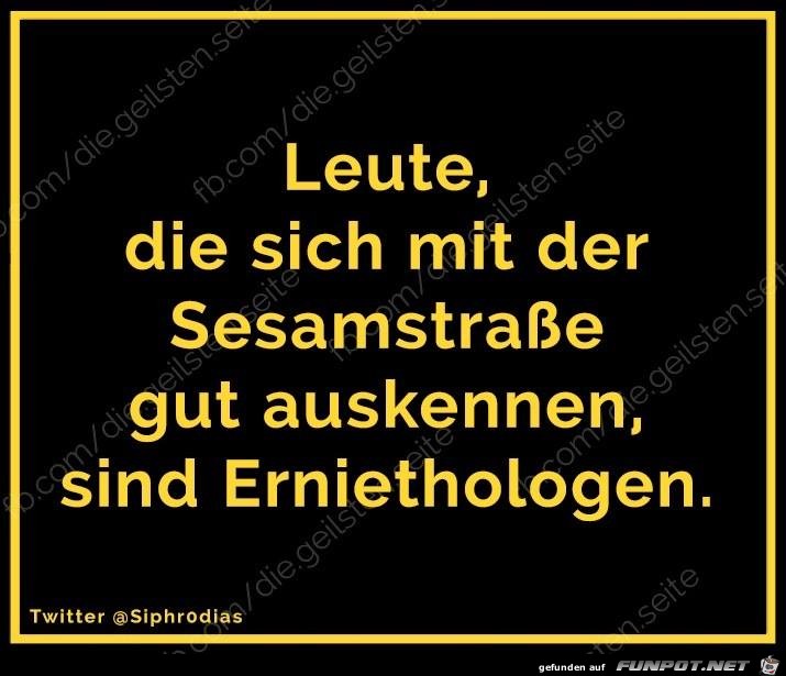 Erniethologen Erniethologen