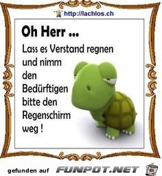 oh herr oh herr
