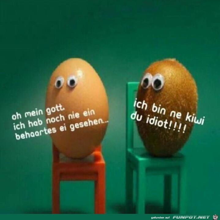 oh mein Gott oh mein Gott