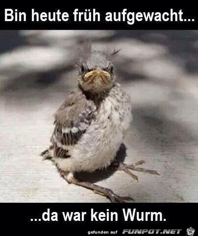 Kein Wurm da Kein Wurm da