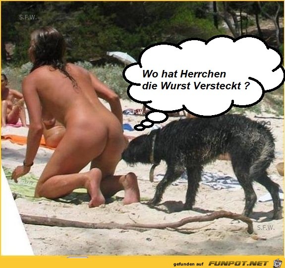 Herrchen Herrchen