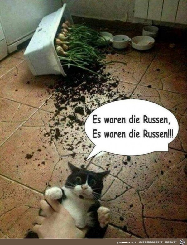 Russen Russen