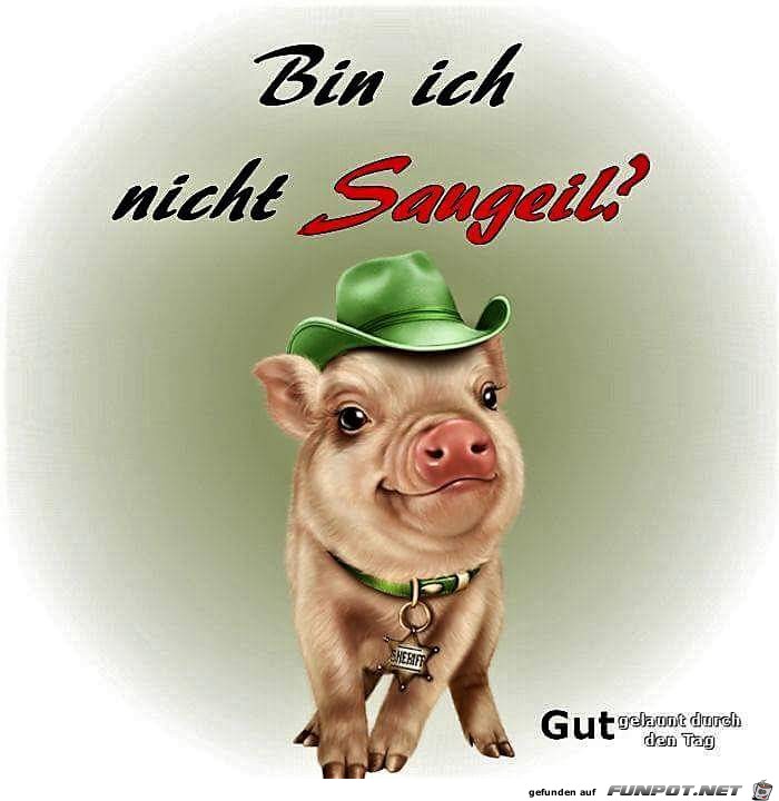 saugeil saugeil