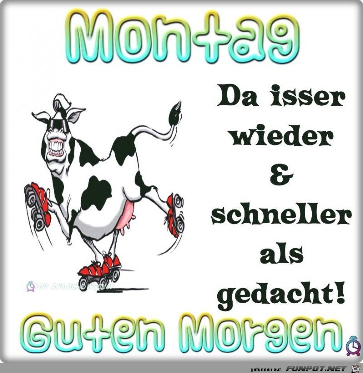 Da isser wieder Da isser wieder