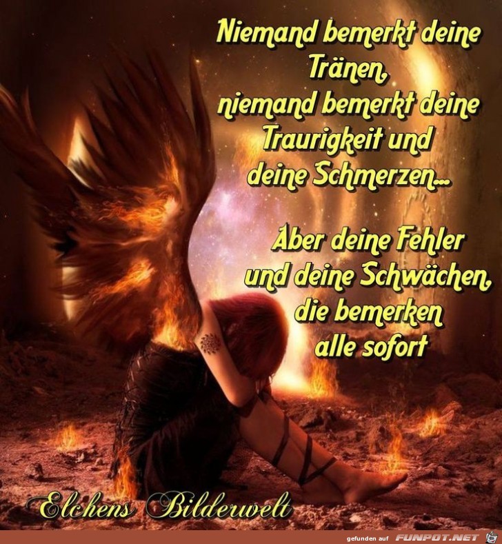 niemand bemerkt deine Tränen...... niemand bemerkt deine Tränen......