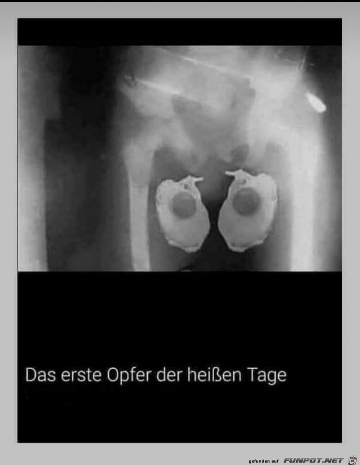 Das erste Opfer der heißen Tage Das erste Opfer der heißen Tage
