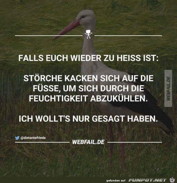 Falls Euch wieder zu heiss ist Falls Euch wieder zu heiss ist