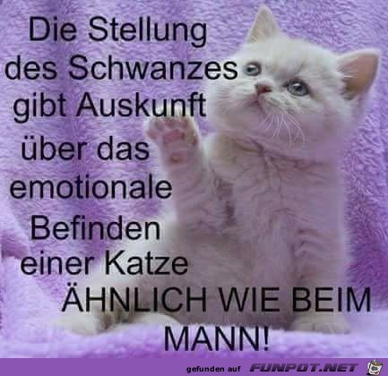 Stellung Stellung