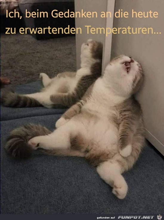 das schafft mich das schafft mich