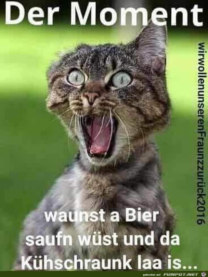 Der Moment....