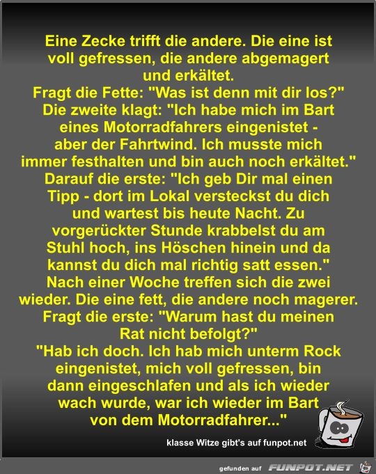 Eine Zecke trifft die andere Eine Zecke trifft die andere
