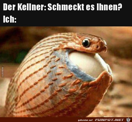 Schmeckts