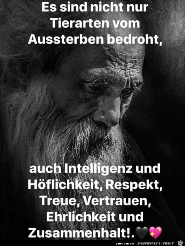 Vom Aussterben bedroht Vom Aussterben bedroht