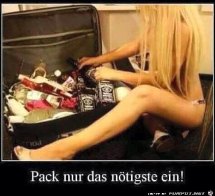 Ich packe nur das Nötigste Ich packe nur das Nötigste