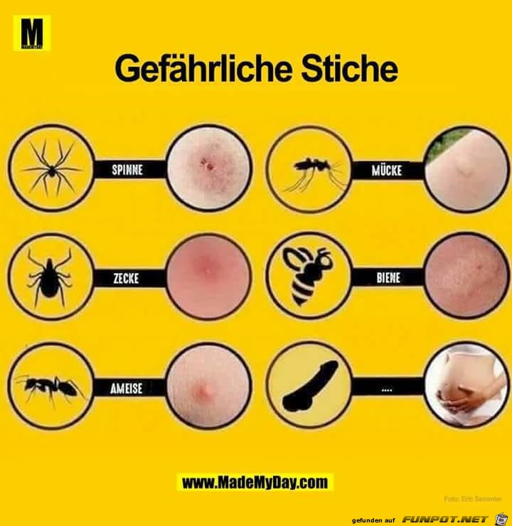 Stiche Stiche