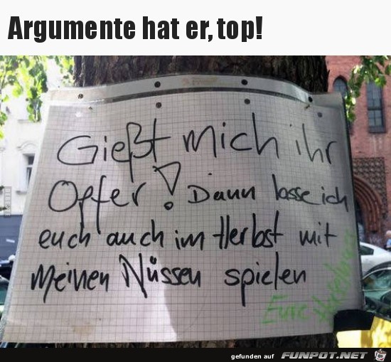 Wie nett Wie nett