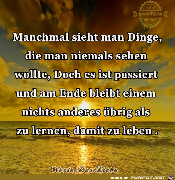 Manchmal sieht man Dinge Manchmal sieht man Dinge