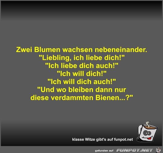 Zwei Blumen wachsen nebeneinander Zwei Blumen wachsen nebeneinander