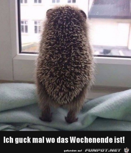 Ich guck mal Ich guck mal