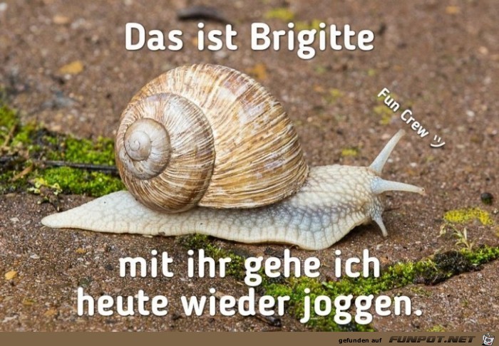 Brigitte Brigitte