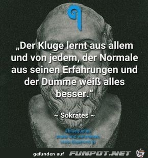 der kluge lernt