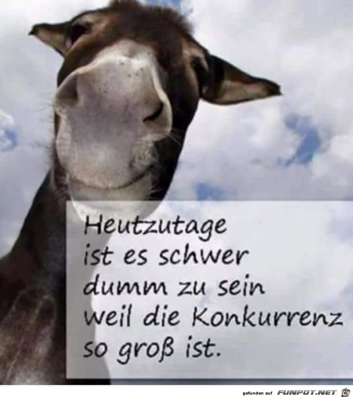 heutztage