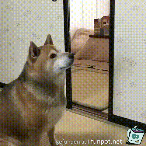 Ich will Futter Ich will Futter