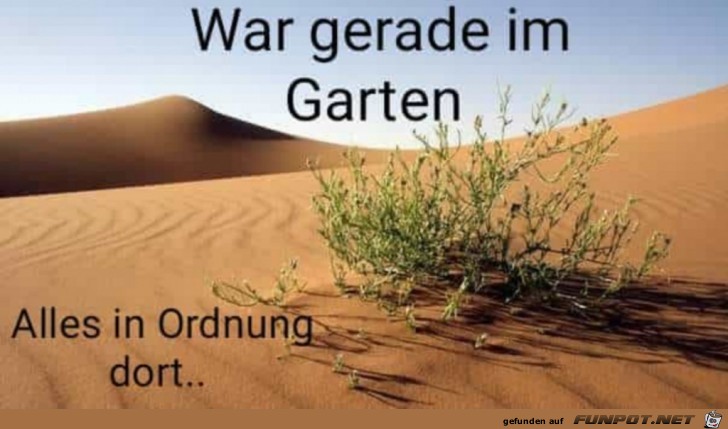 alles in Ordnung ! alles in Ordnung !