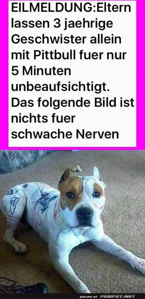 Eilmeldung Eilmeldung
