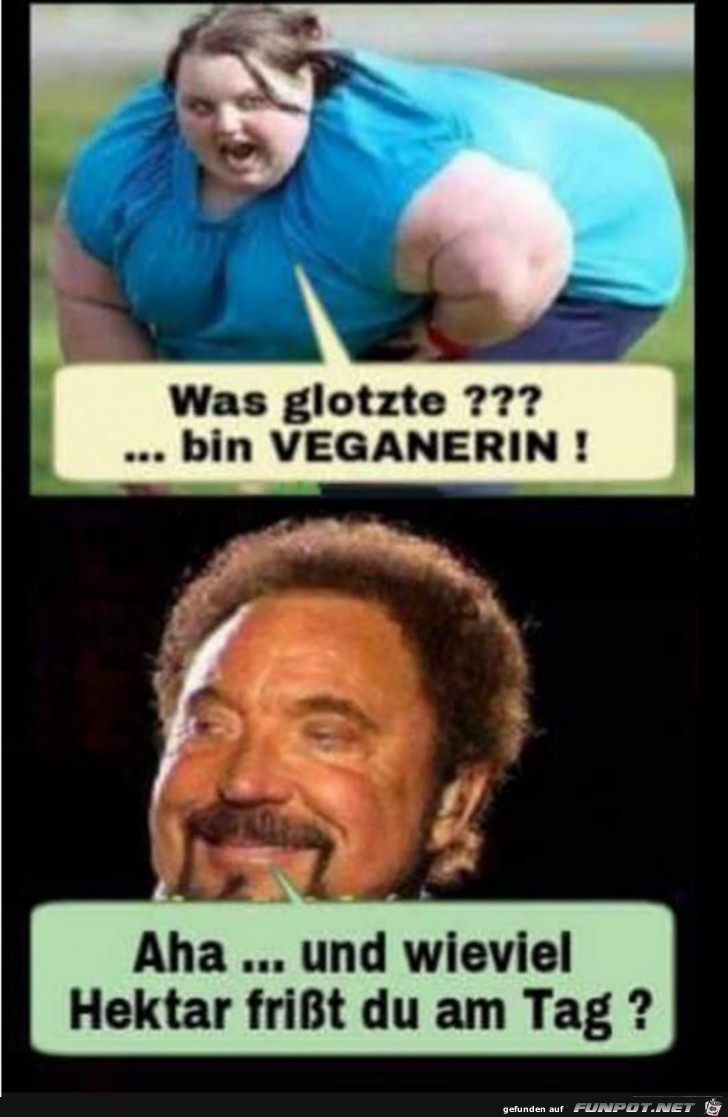 Veganer Veganer