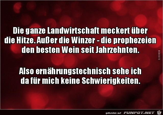 Der Wein wird gut Der Wein wird gut