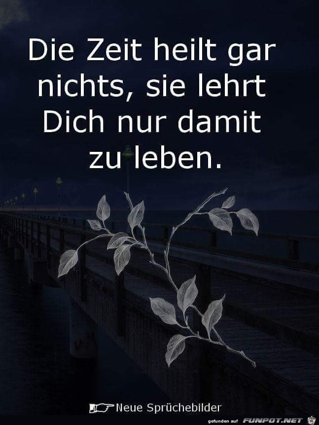 die zeit heilt gar nichts