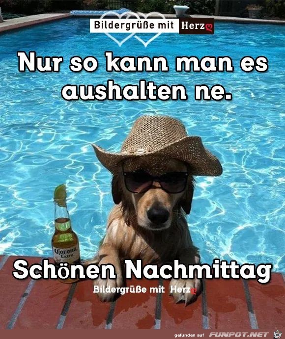 nur so nur so