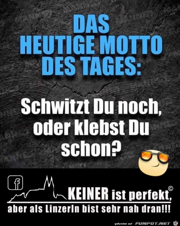 schwitzt du noch schwitzt du noch