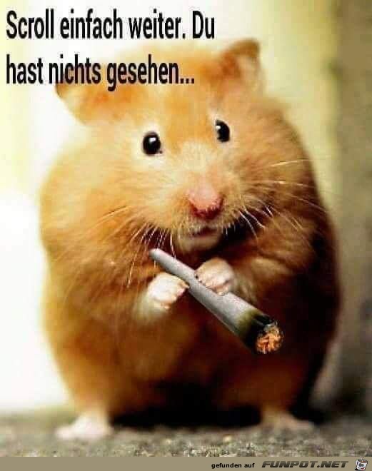 scroll einfach weitet scroll einfach weitet