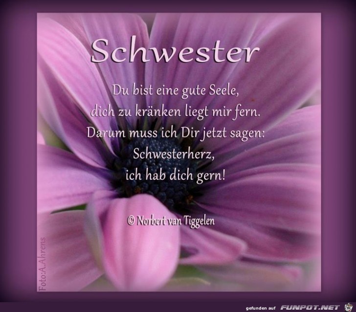 Schwester Schwester