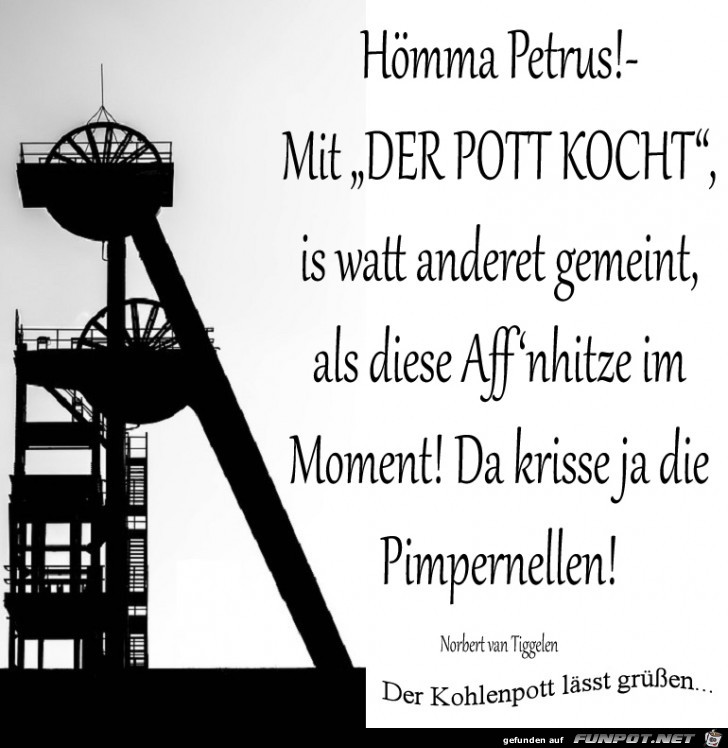 Affenhitze - Pimpernellen 2018 Affenhitze - Pimpernellen 2018