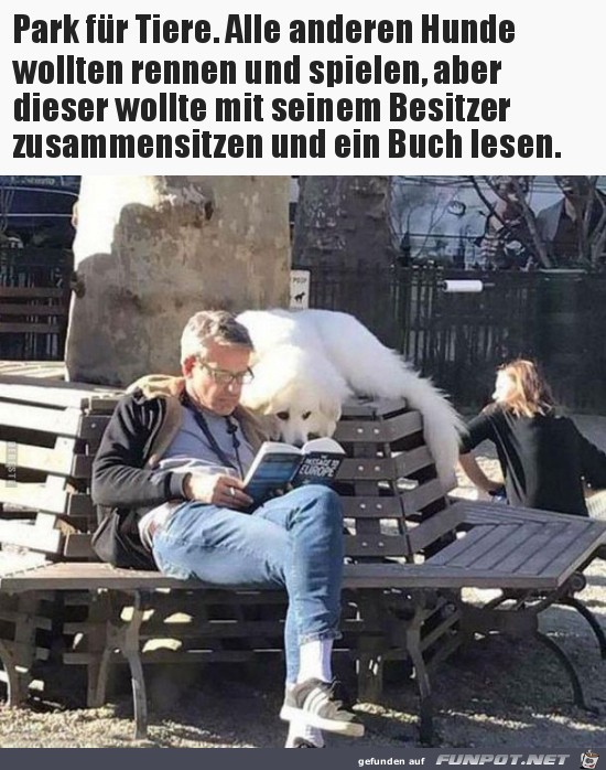 Park für Tiere..... Park für Tiere.....