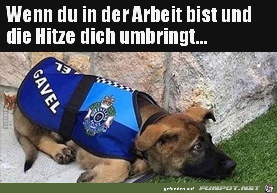 Zu heiß zum Arbeiten Zu heiß zum Arbeiten