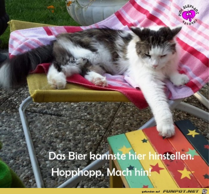 Bier her Bier her