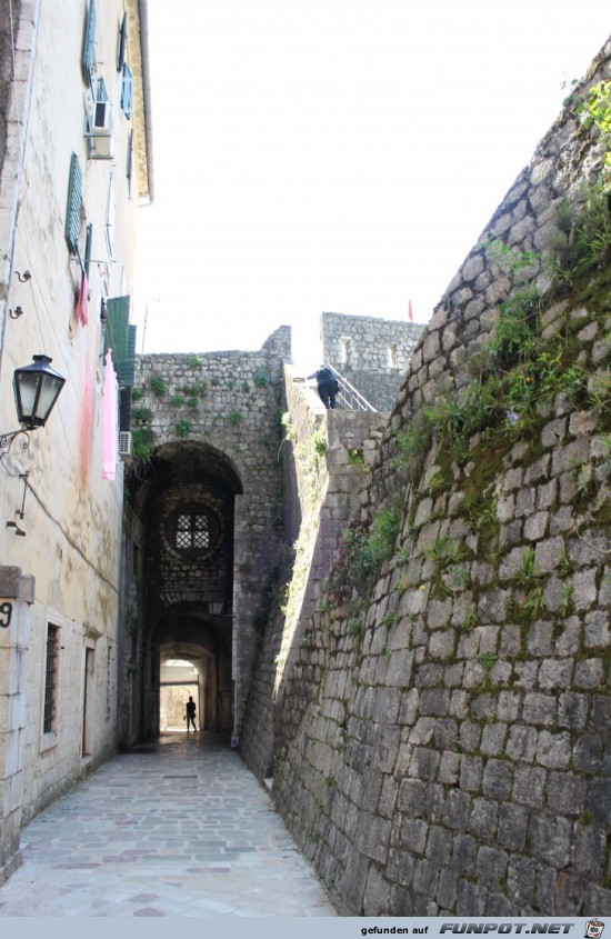 Kotor 7 Kotor 7